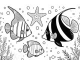 aquarium coloring pages